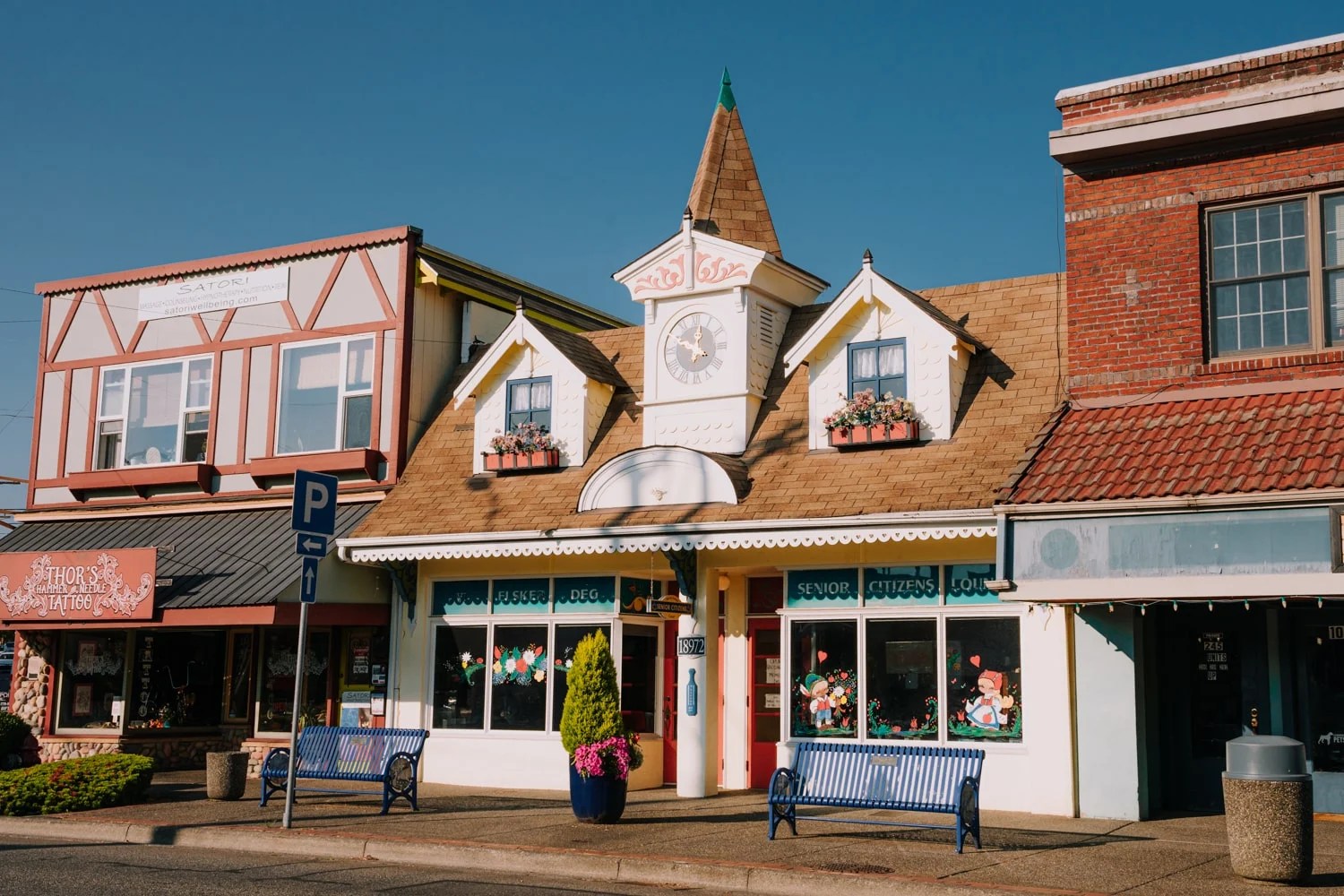 Pacific Storage Poulsbo Dandk Organizer