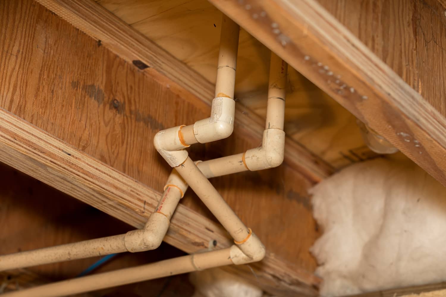 4 Reasons Your Crawl Space Smells Musty and How to Fix It Buckeye