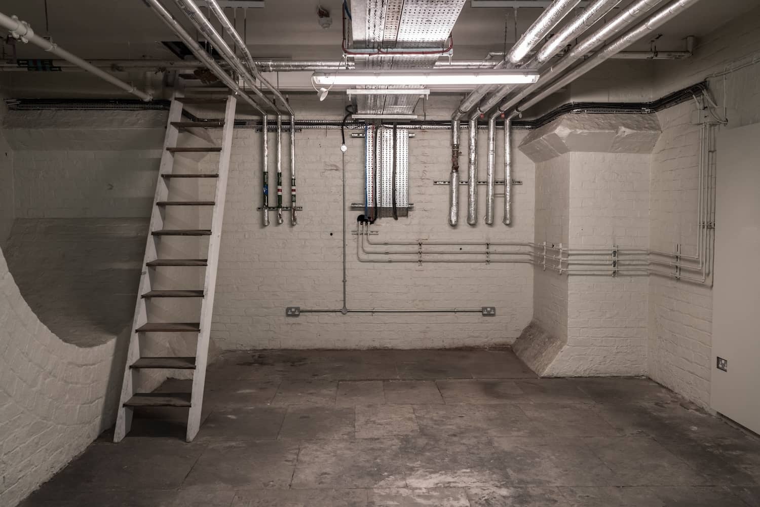 Basement Bugs Common Types and How to Prevent Them Buckeye Basement