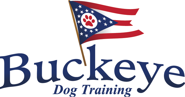 Dog Training Columbus Ohio Dublin New Albany Buckeye Dog Training