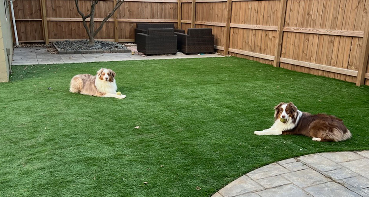 Artificial Turf for Pets & Dogs by Buckeye Greens, Cincinnati, OH