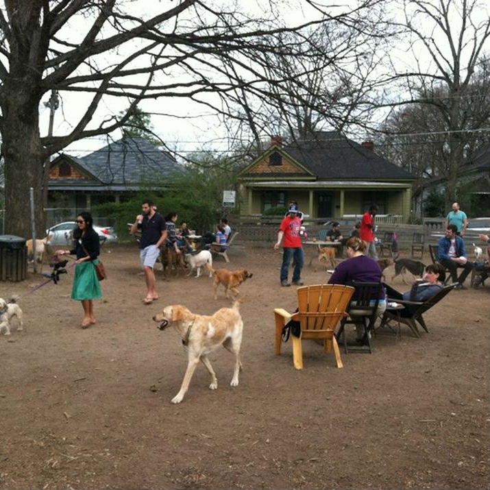 Dog Walker Atlanta Top 10 Dog Parks in Metro Atlanta