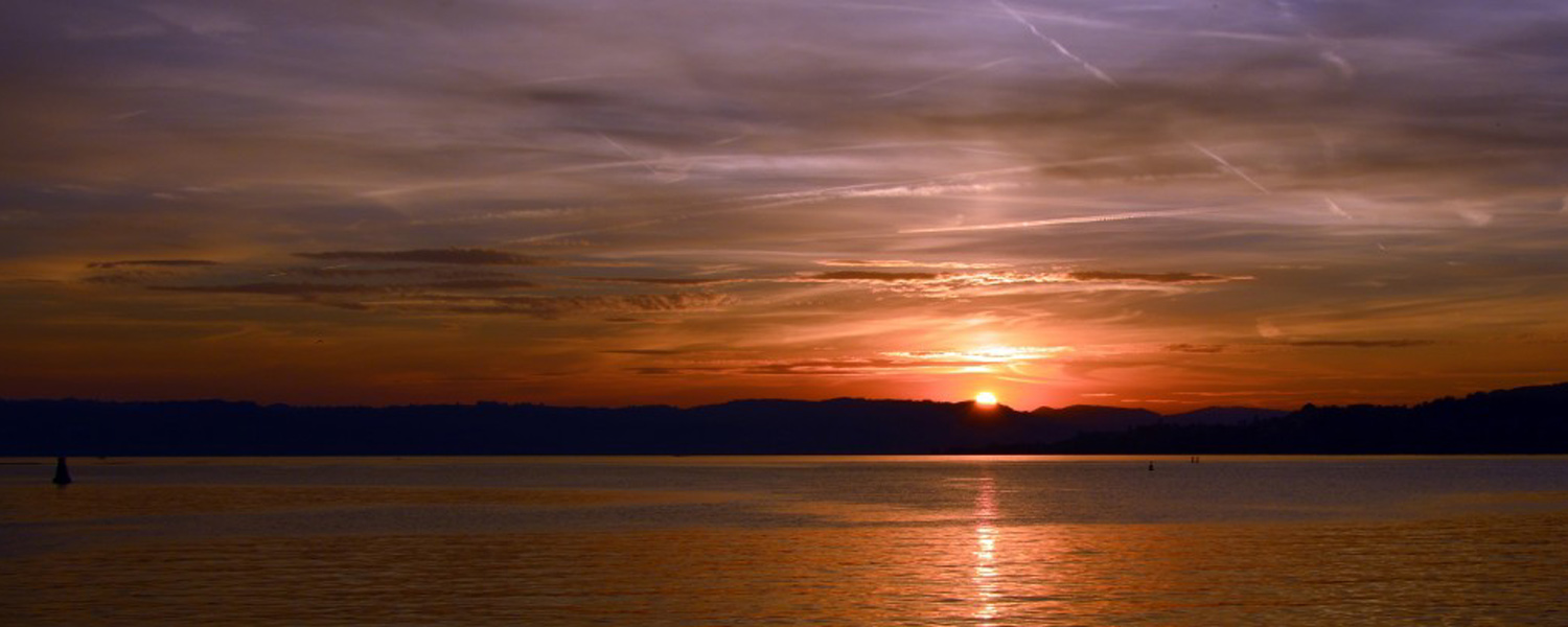 Buckingham Supermarket in Constantia, NY