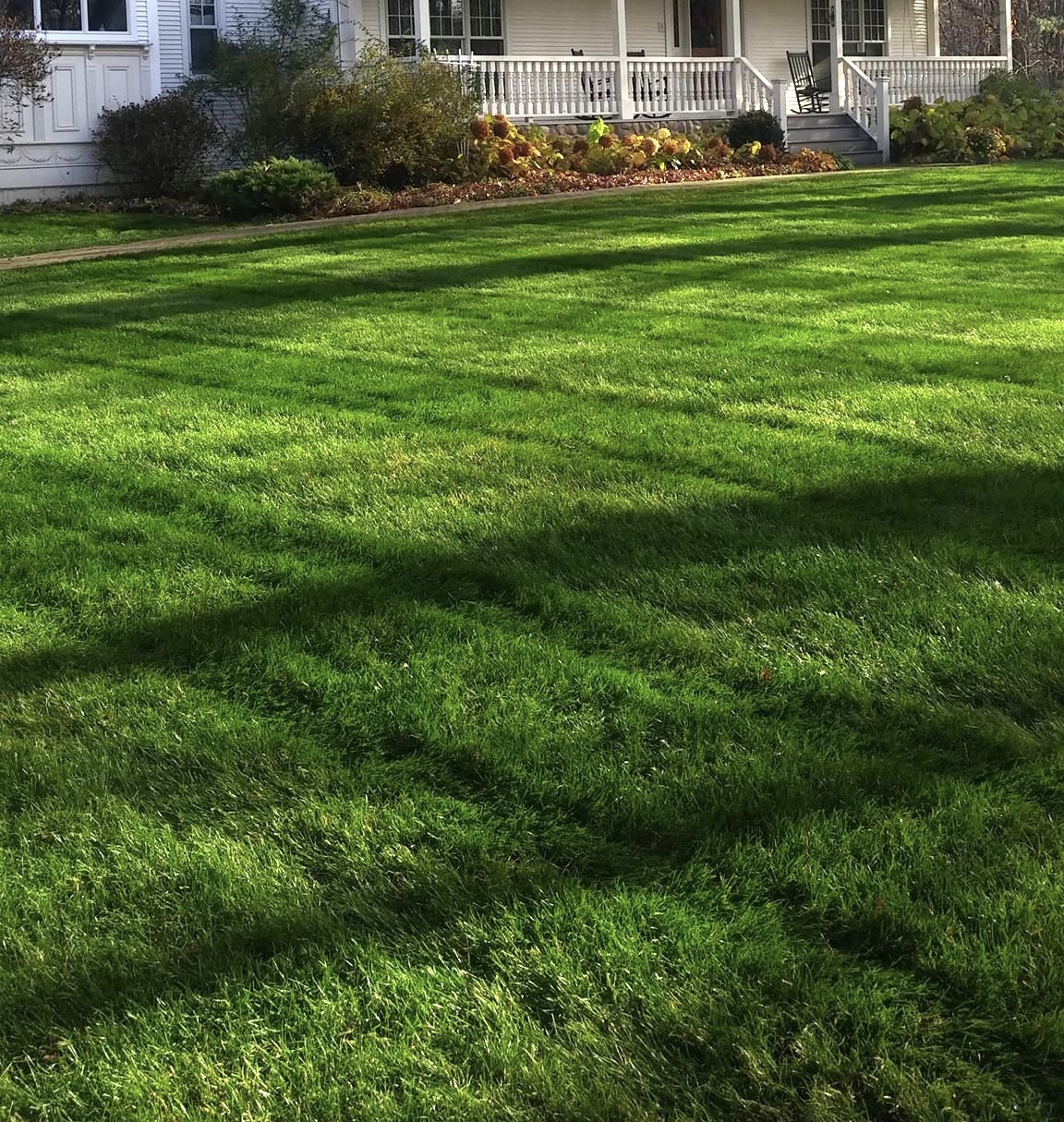  Buck Landscaping MN