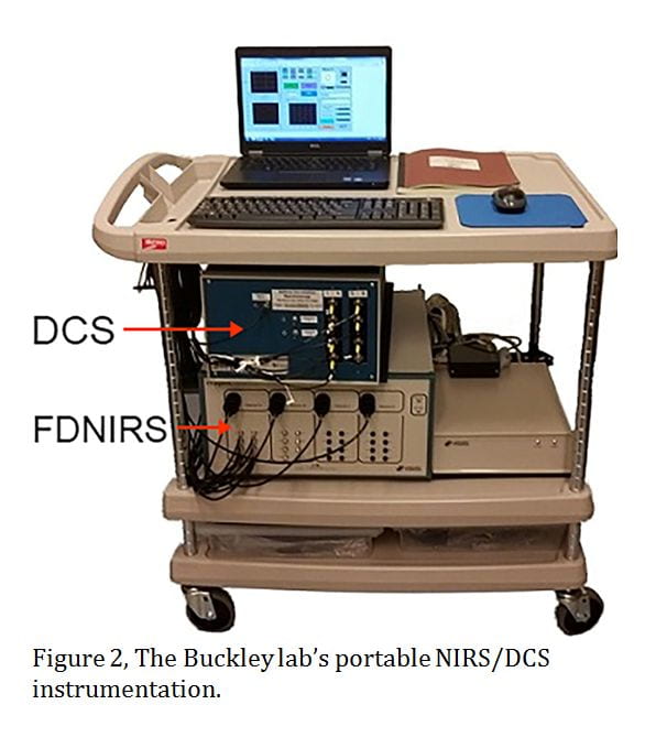 Research Buckley Lab
