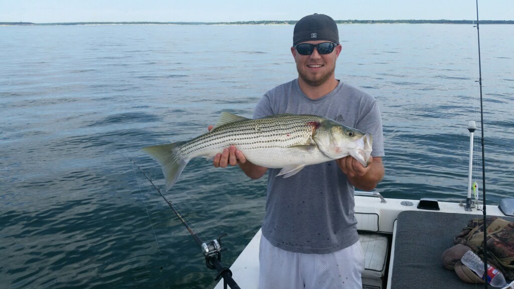 How to Catch Striper Lake Texoma Fishing GuidesSteve Buckley
