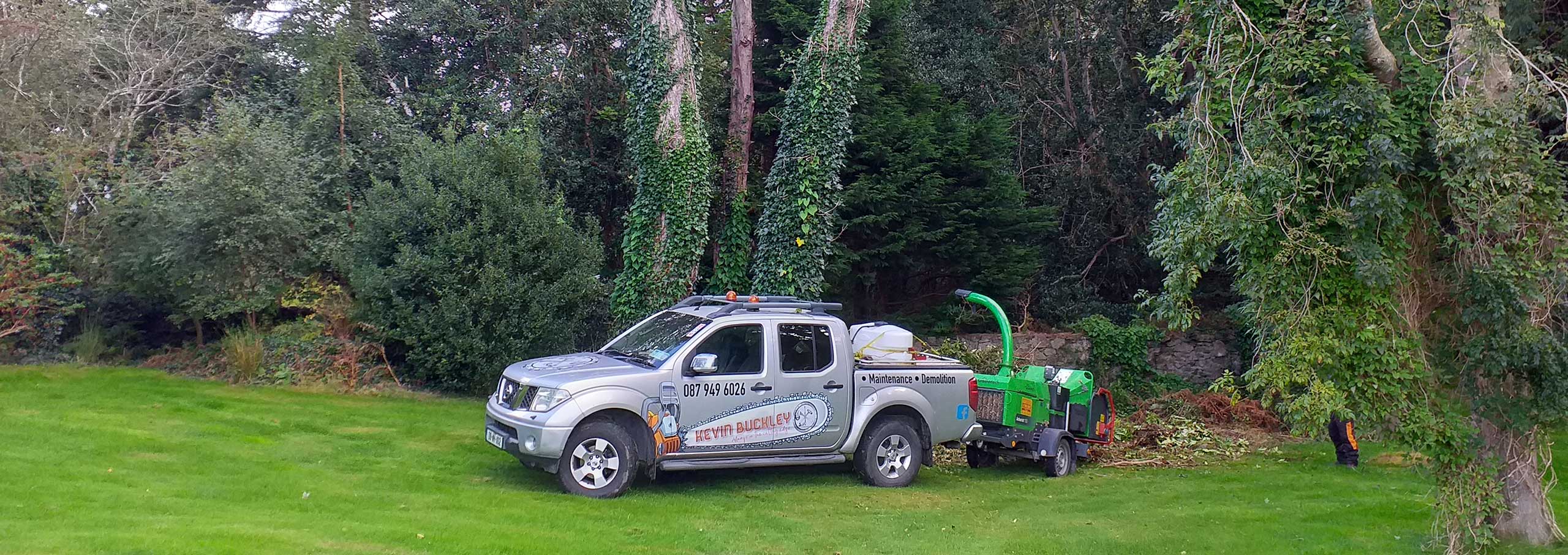 Buckley Tree Services Tree maintenance Property Maintenance