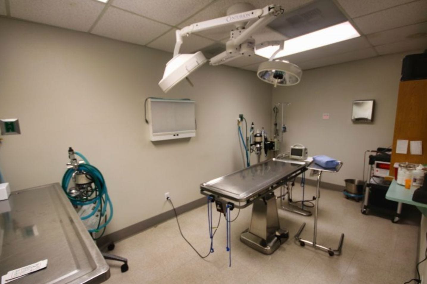 Hospital Tour Buckley Veterinary Hospital