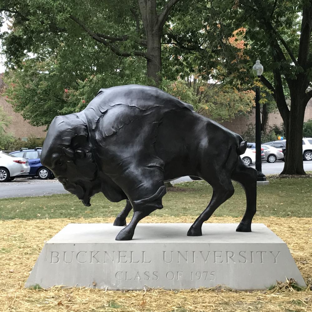 Bison on the move Mascots find new homes on campus The Bucknellian