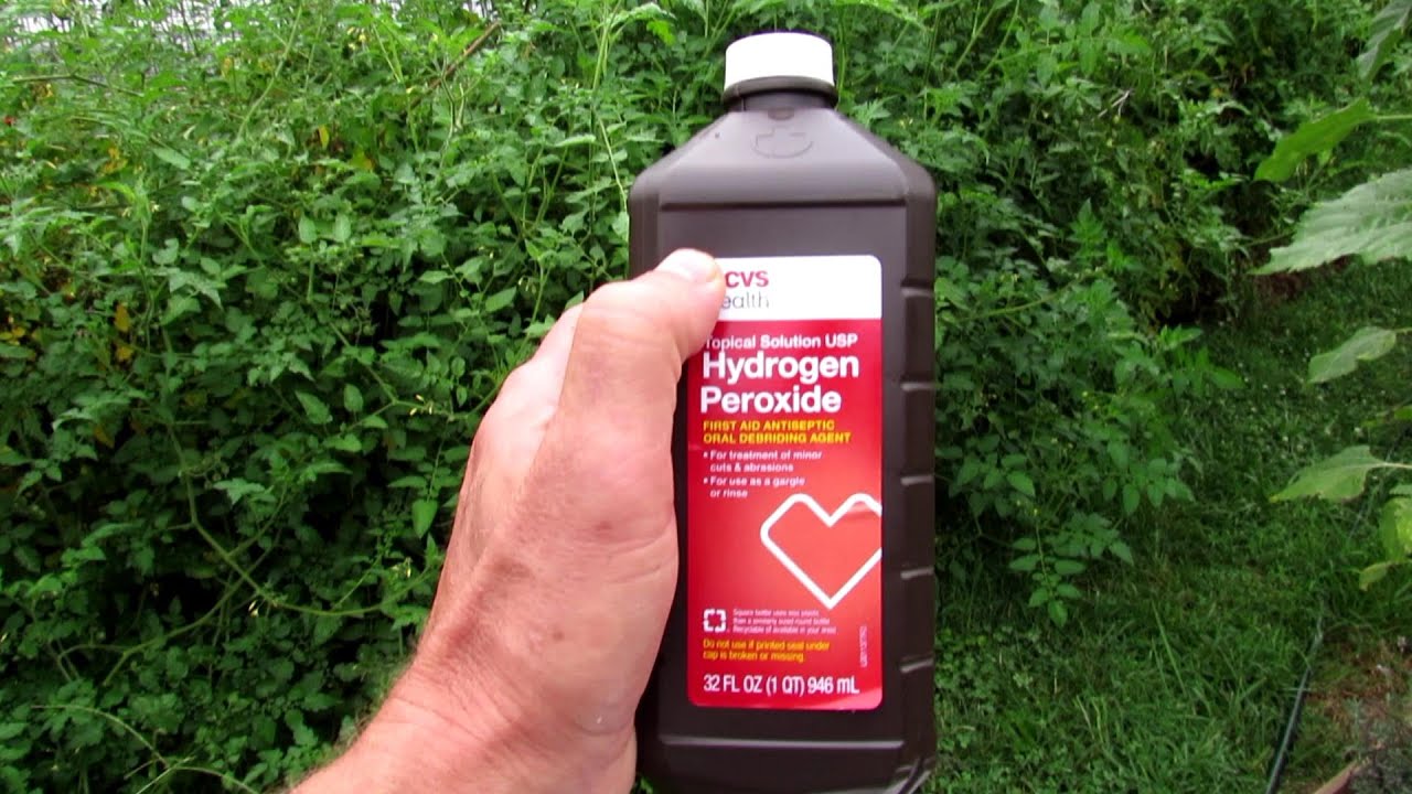 Out Of Bleach? Try Hydrogen Peroxide The Bucko Store