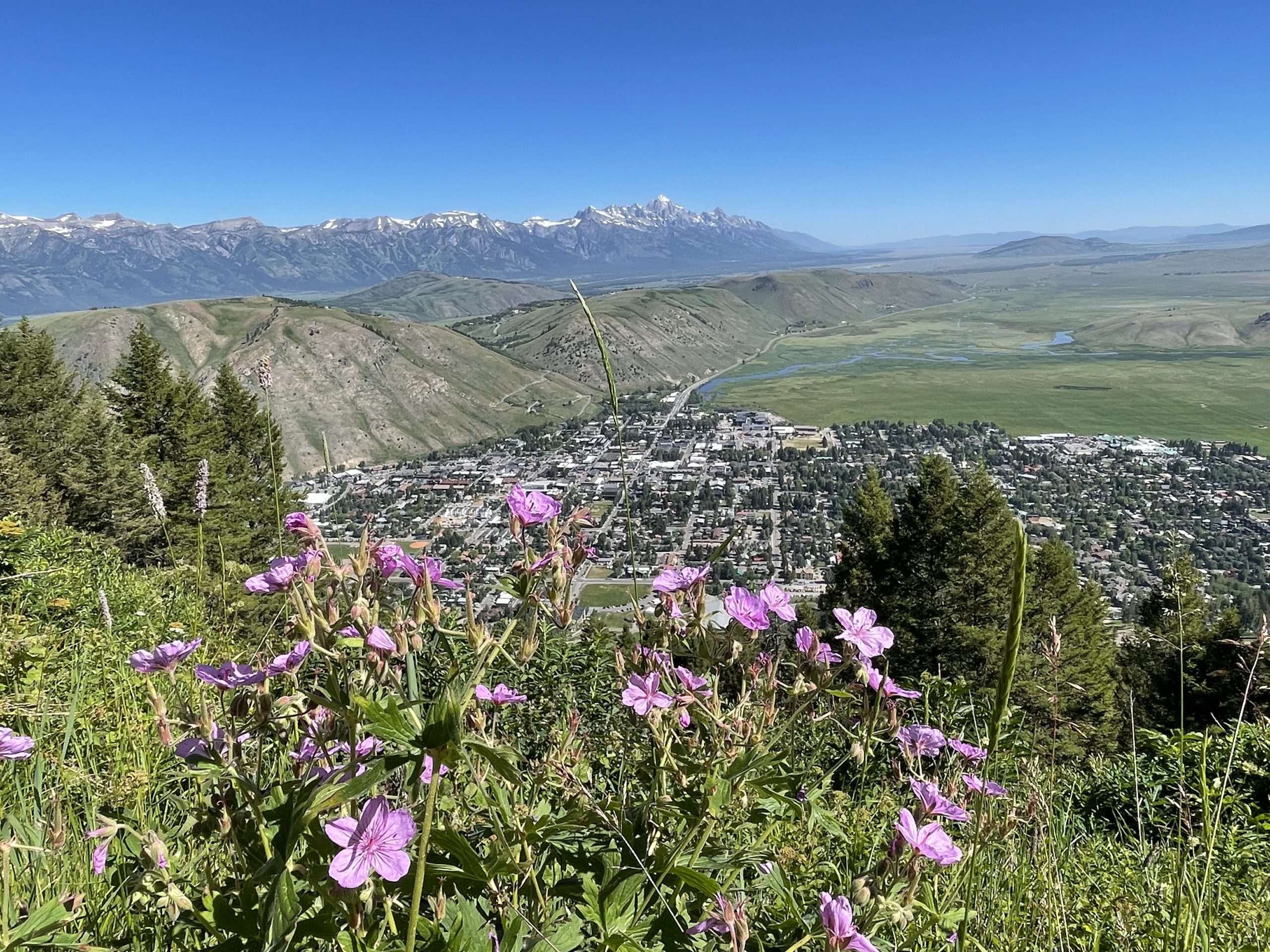 Dry and sunny weather pattern with seasonally warm temperatures Buckrail Jackson Hole, news