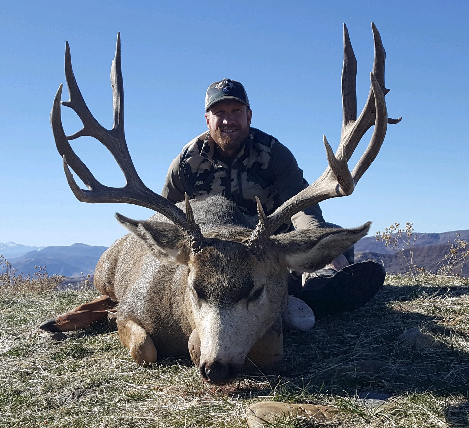 Trophy Mule Deer hunt Utah or Colorado. Bucks & Bulls Guides & Outfitters