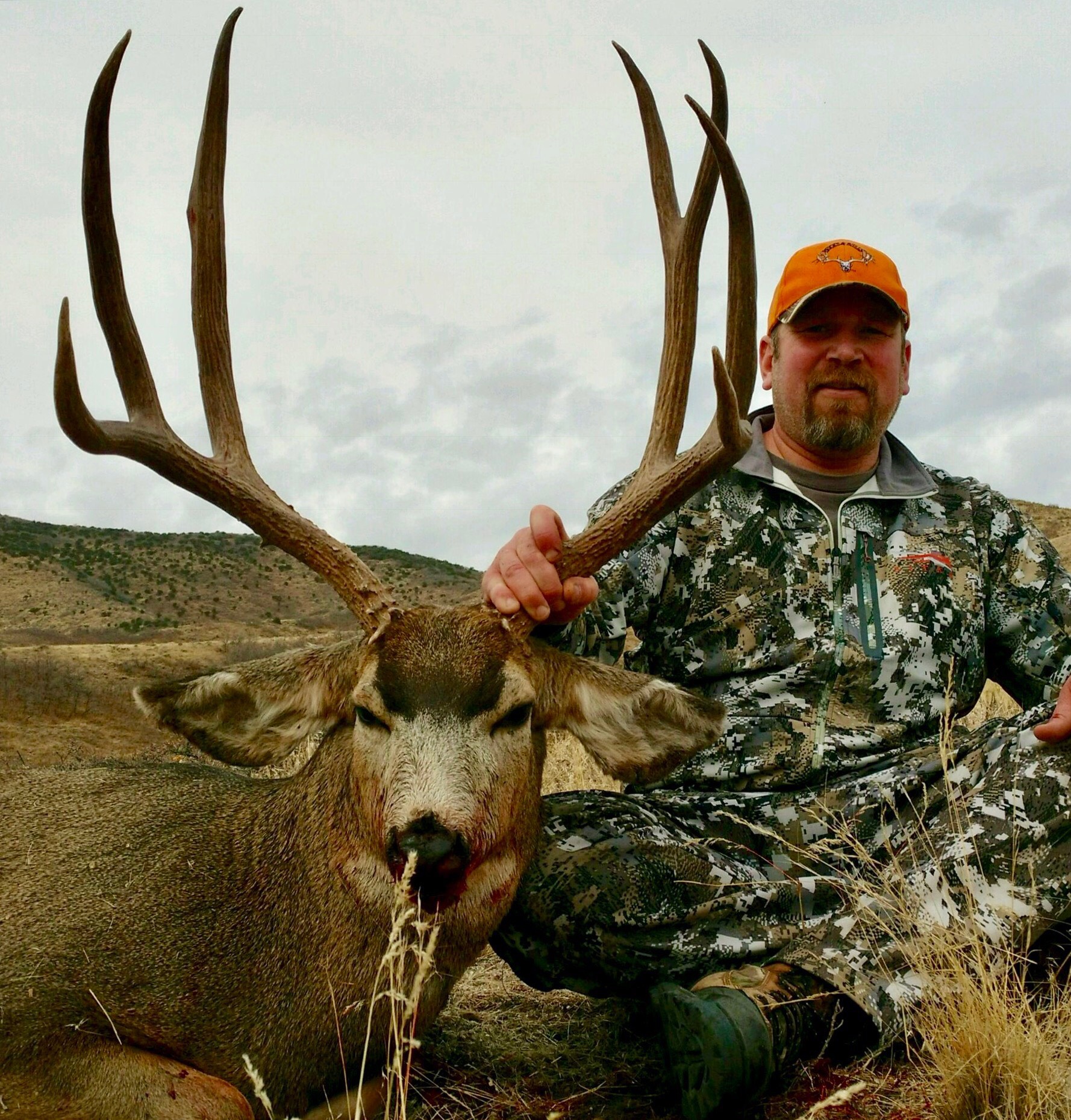 Trophy Mule Deer hunt Utah or Colorado. Bucks & Bulls Guides & Outfitters