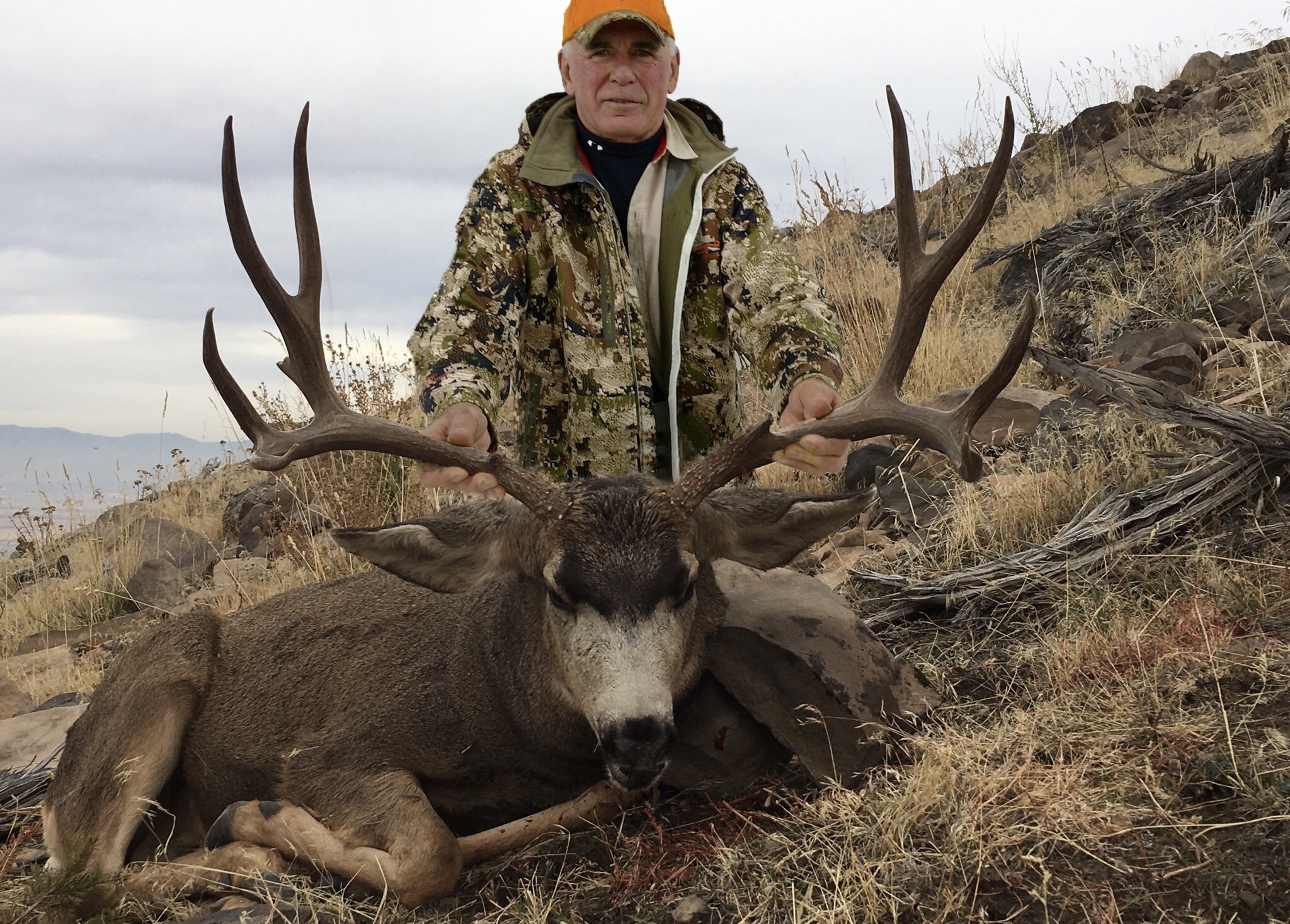 Trophy Mule Deer hunt Utah or Colorado. Bucks & Bulls Guides & Outfitters