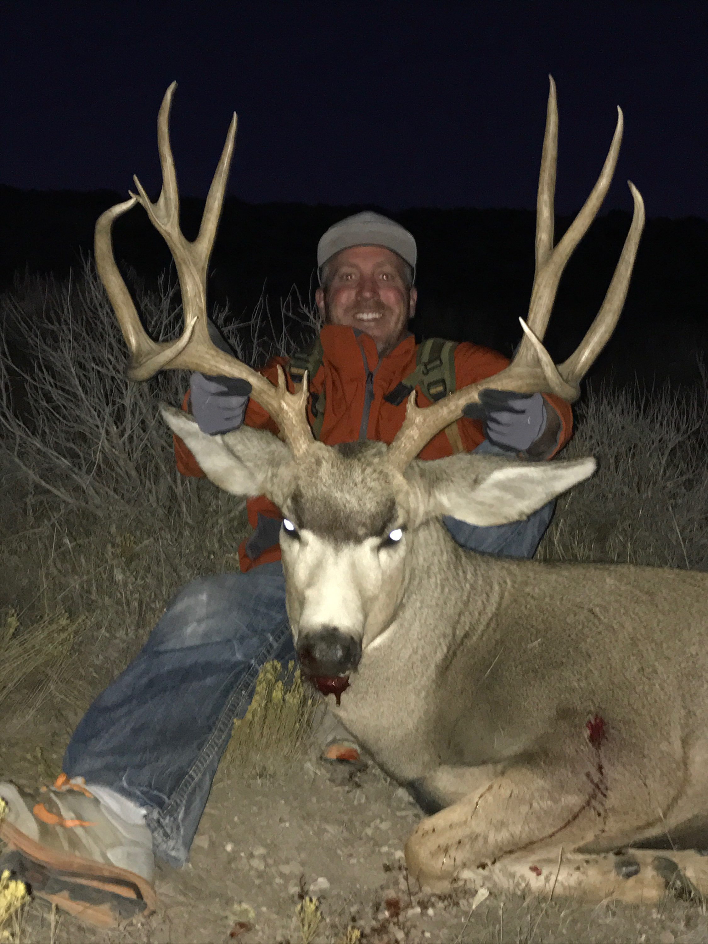 Trophy Mule Deer hunt Utah or Colorado. Bucks & Bulls Guides & Outfitters