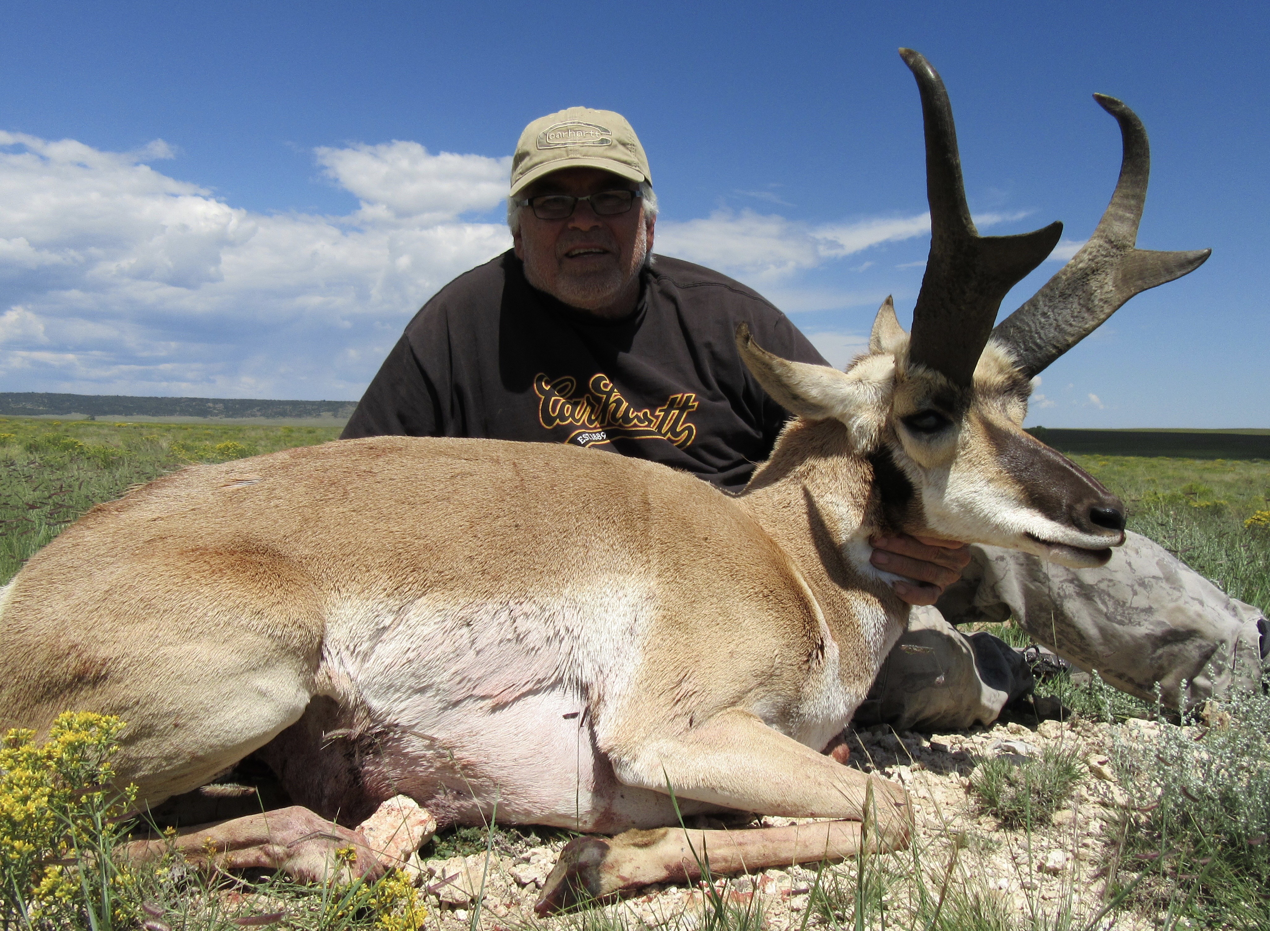 Trophy Antelope Hunts Bucks & Bulls Guides & Outfitters
