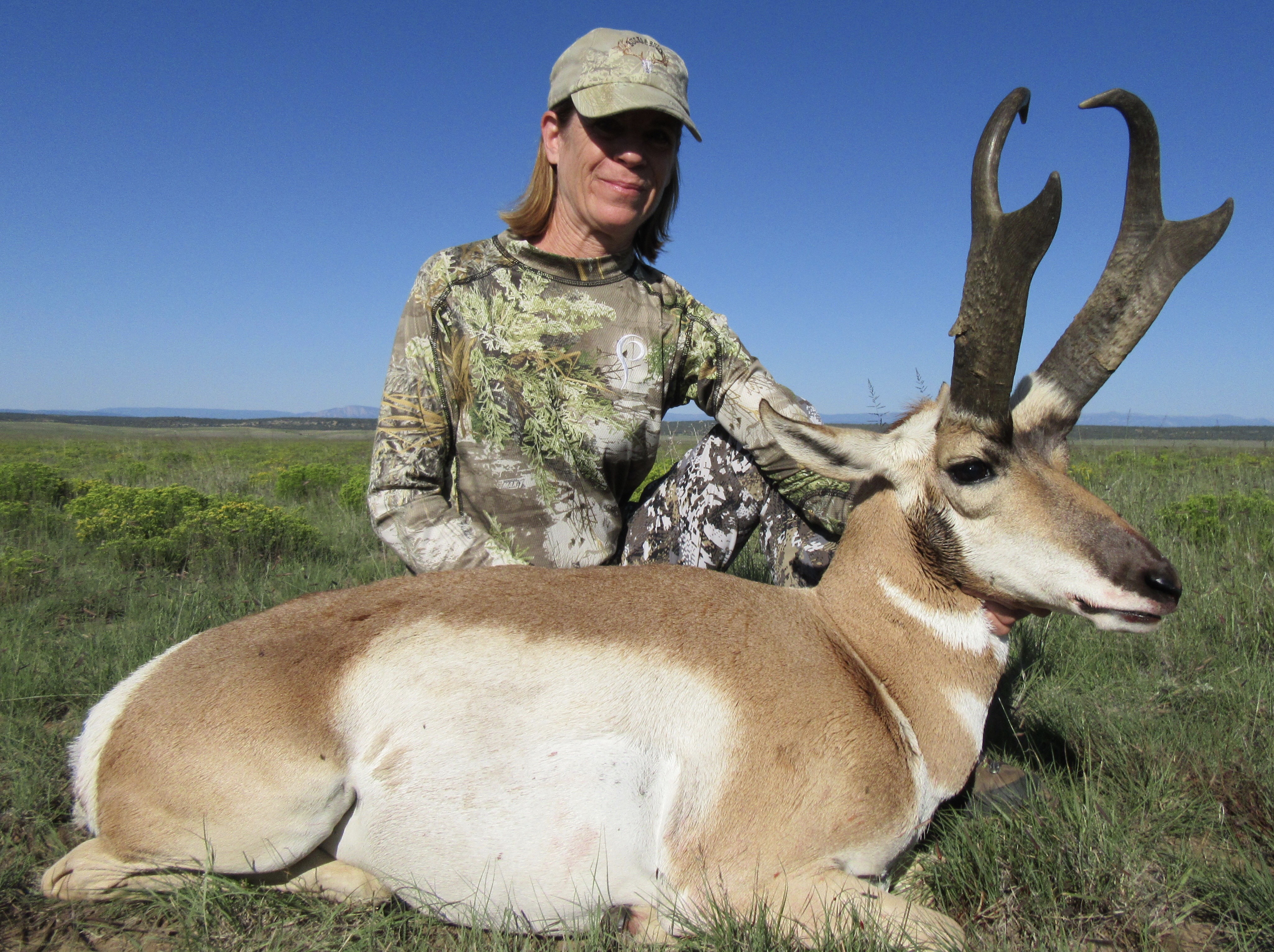 Trophy Antelope Hunts Bucks & Bulls Guides & Outfitters