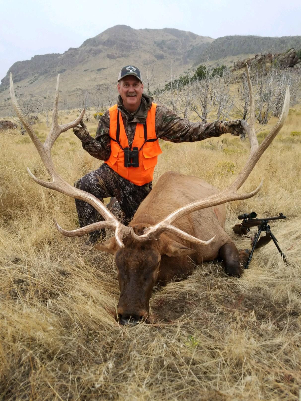 Trophy Elk in Utah.Trophy elk in ColoradoTrophy Elk in Colorado