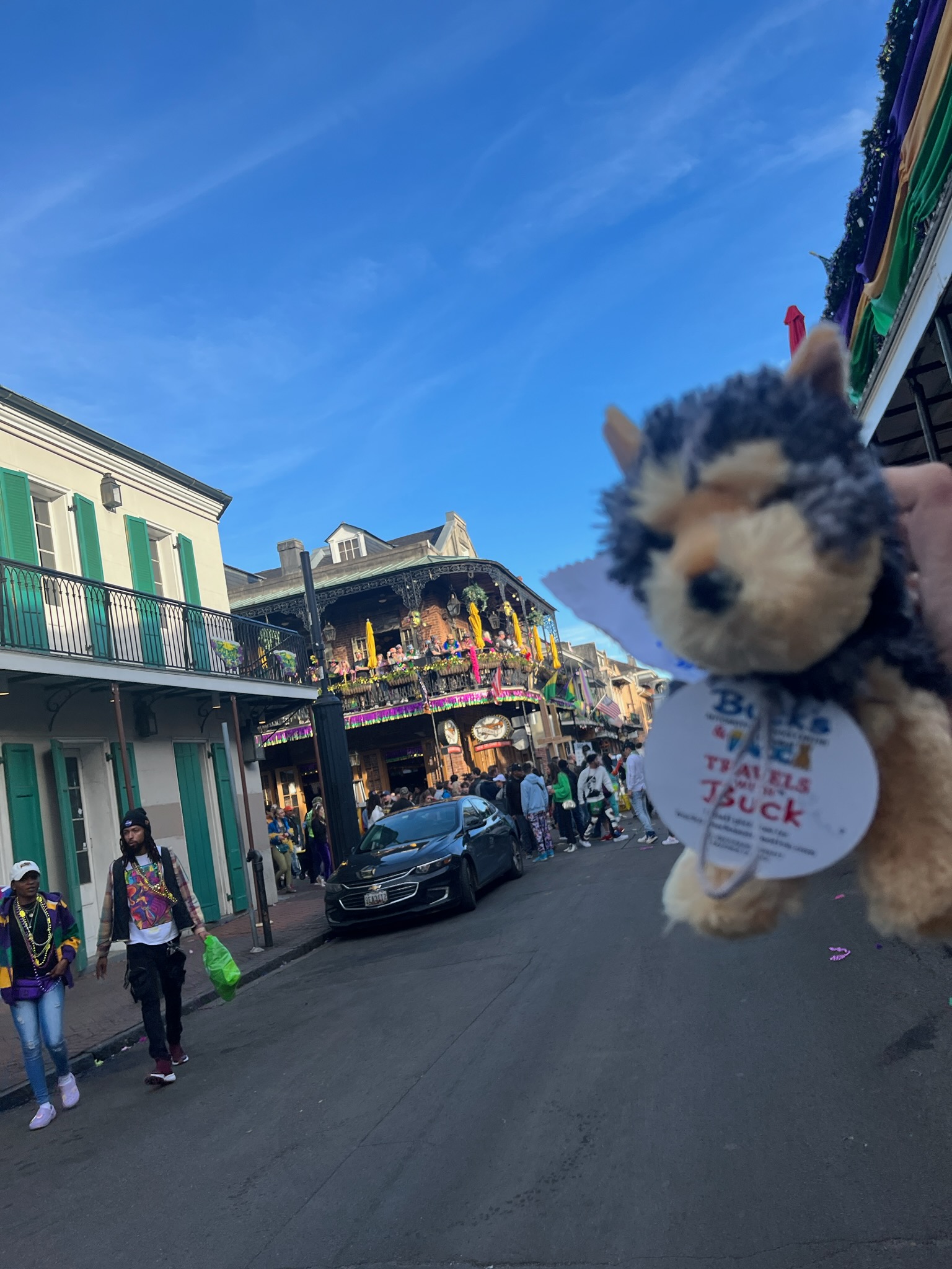 Travels with Buck Bucks Automotive