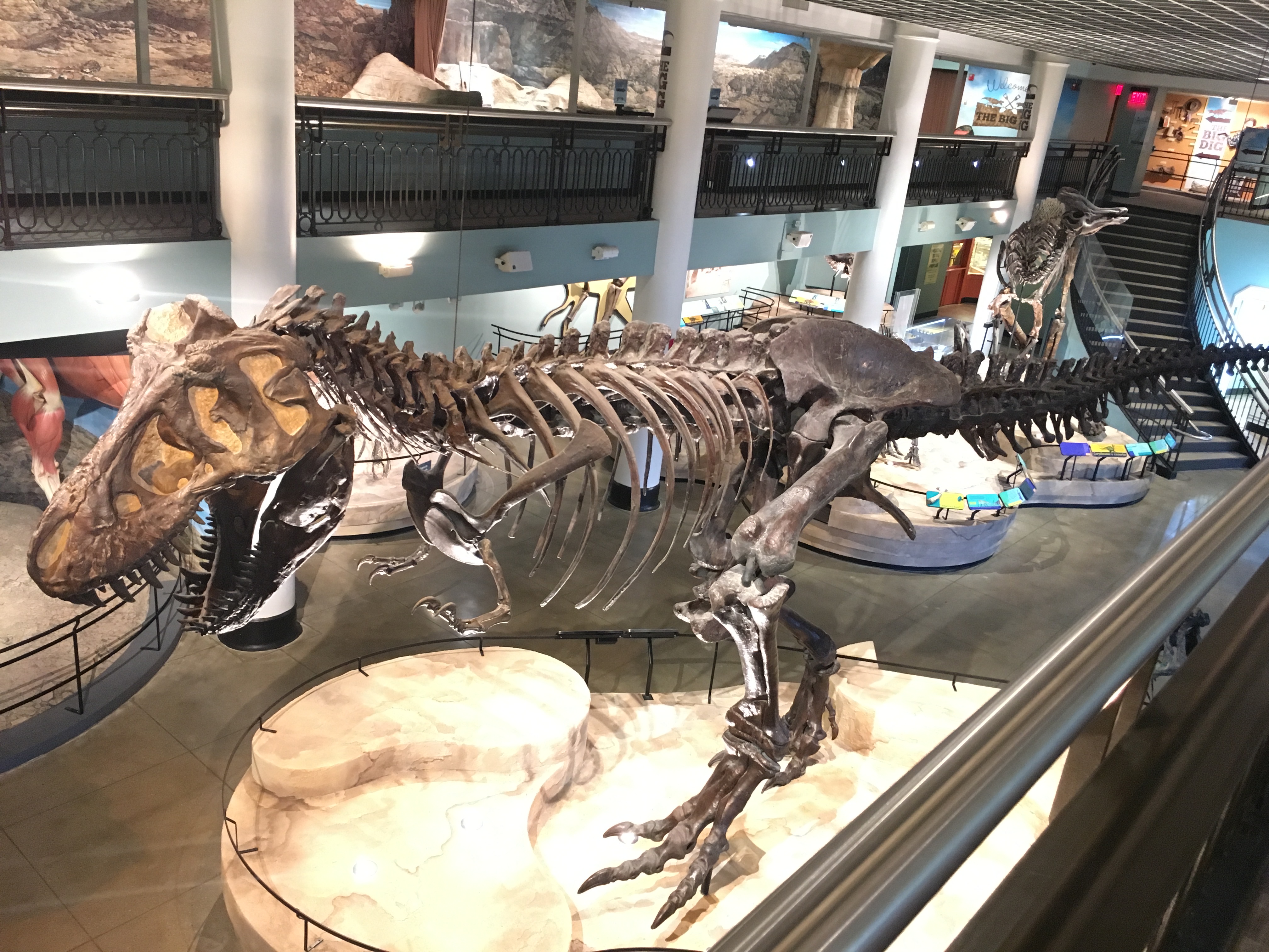 Home Bucks County Free Library