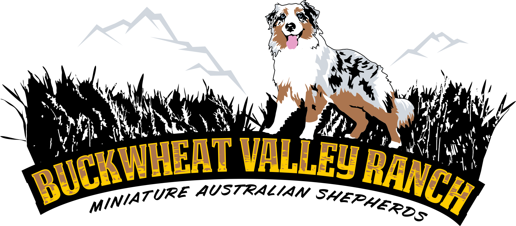 Downloads Buckwheat Valley Ranch