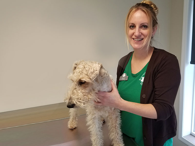 Sherry Bucyrus Veterinary Services