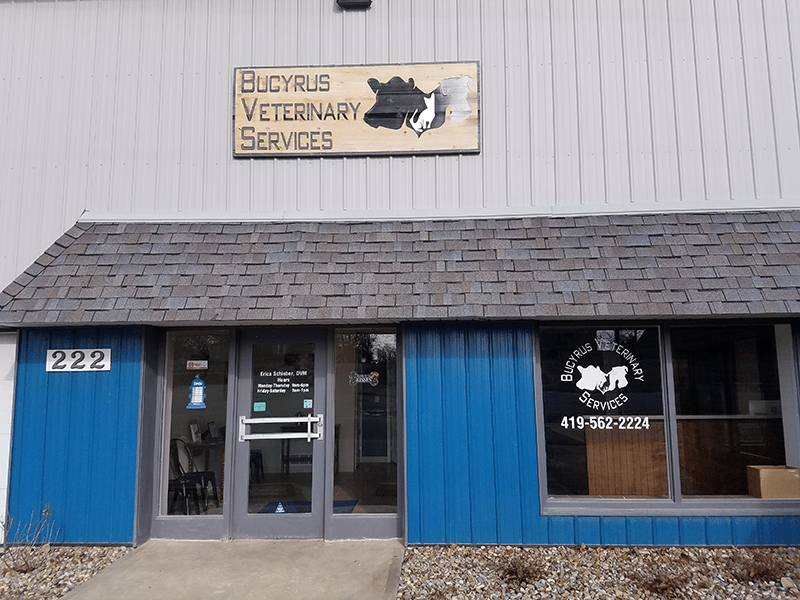 Home Bucyrus Veterinary Services