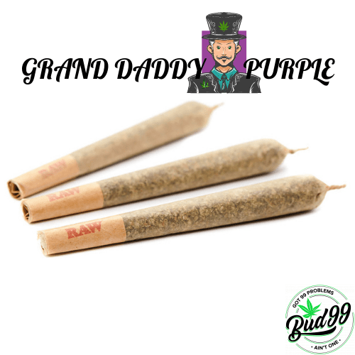 PREROLLED JOINT GRAND DADDY PURPLE BUD99
