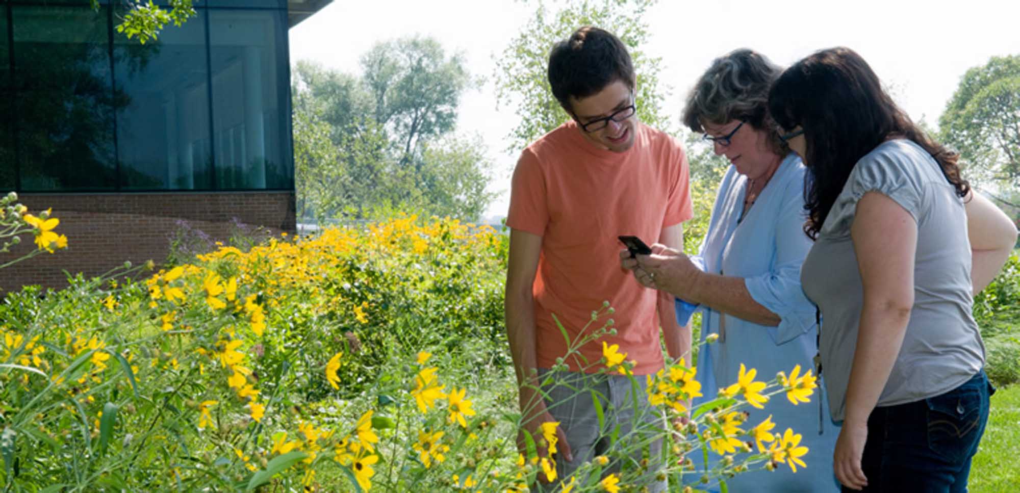 Budburst Chicago Botanic Garden