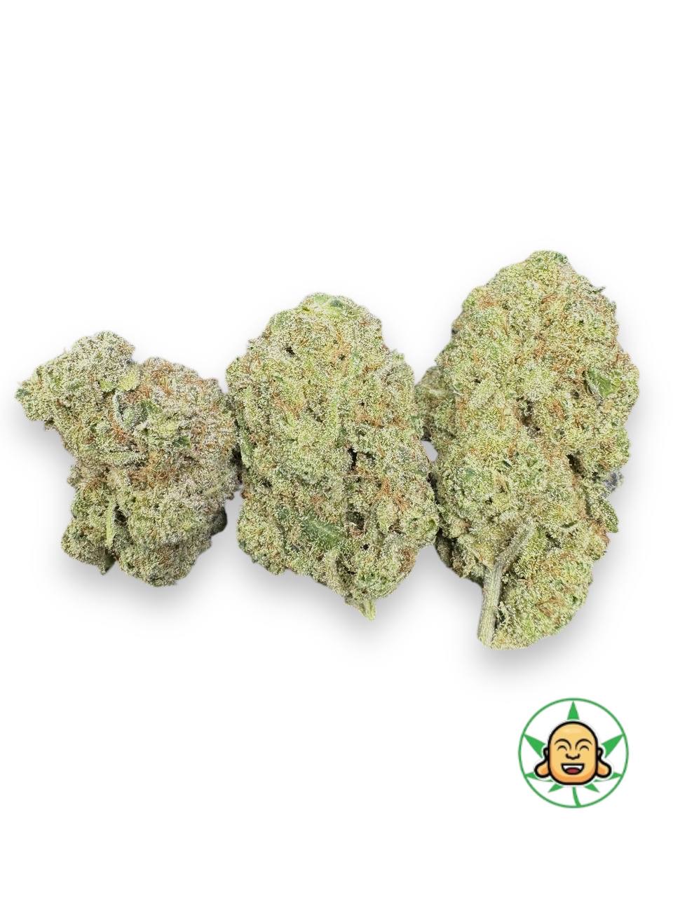 Buddha Bros Shop Amnesia Haze Cannabis Online