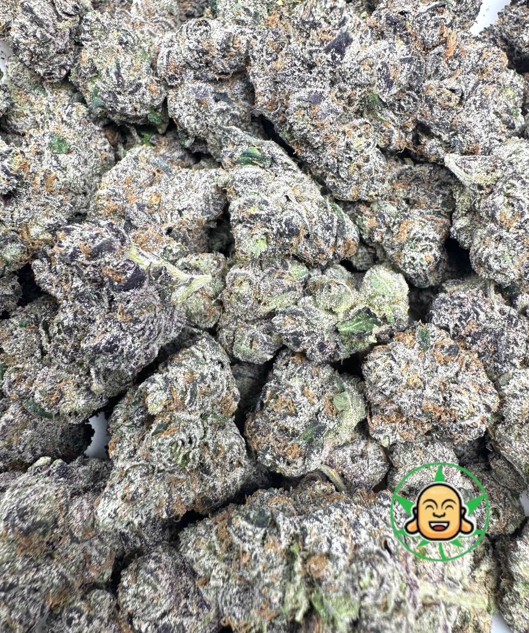 Buddha Bros Shop Candy Cone Cannabis Online