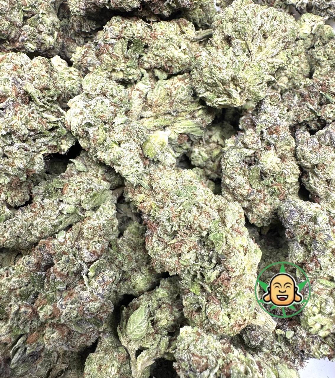 Buddha Bros Shop Gushers Cannabis Flower Online