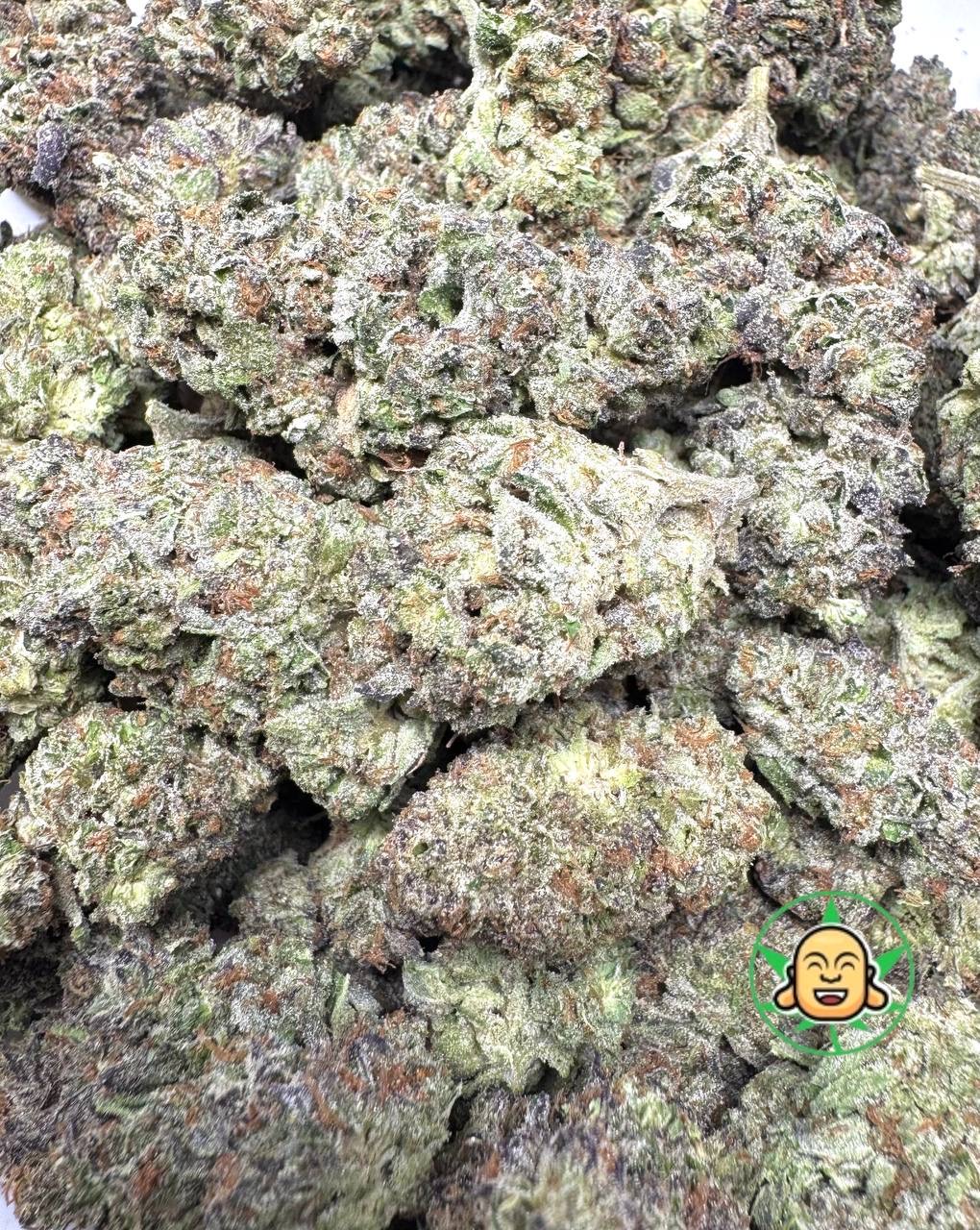 Buddha Bros Shop Jokerz Candy Cannabis Flower Online