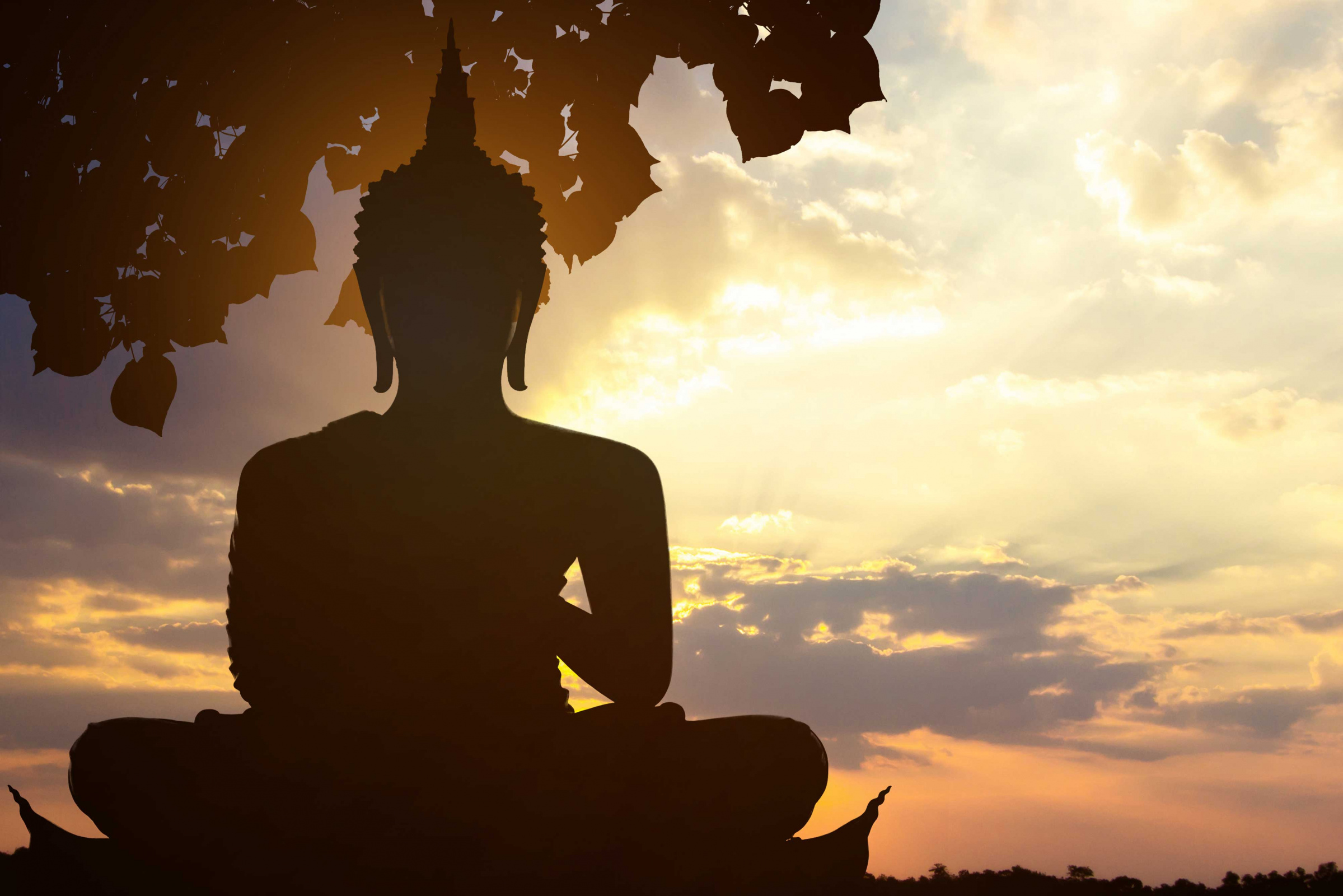 The Middle Way Buddhism