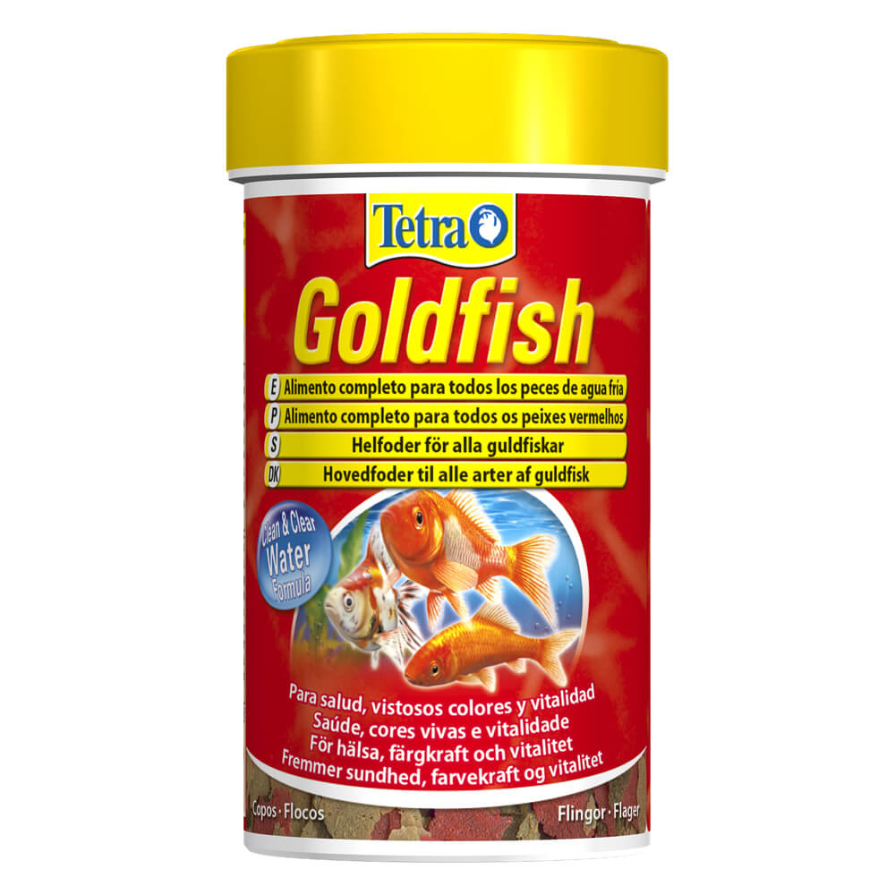 Goldfish Dyrebutikken Buddy