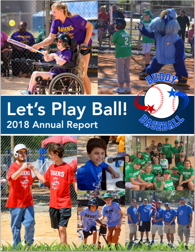 Annual Reports Buddy Baseball