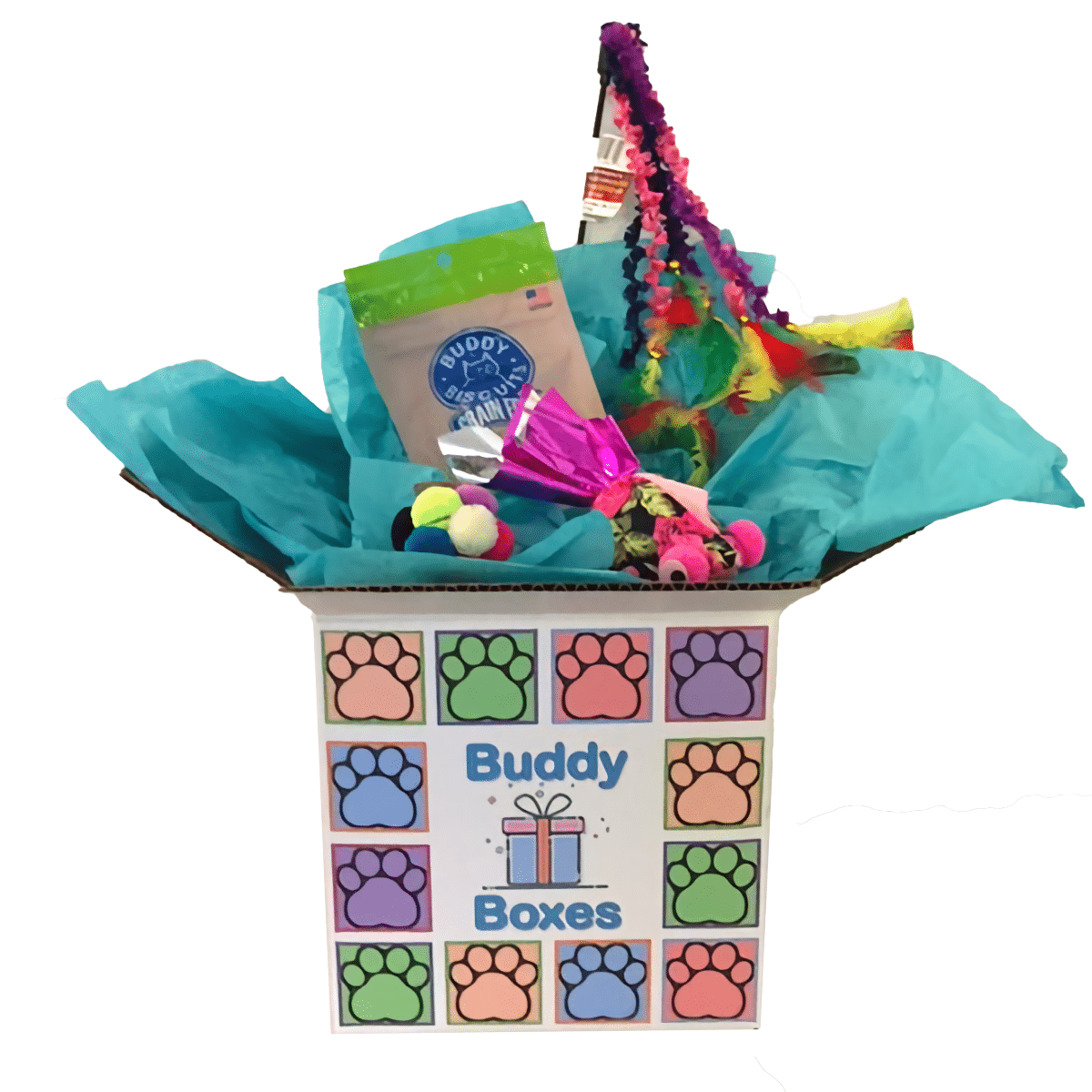Kitty Buddy Box - Buddy's A Pet's Store