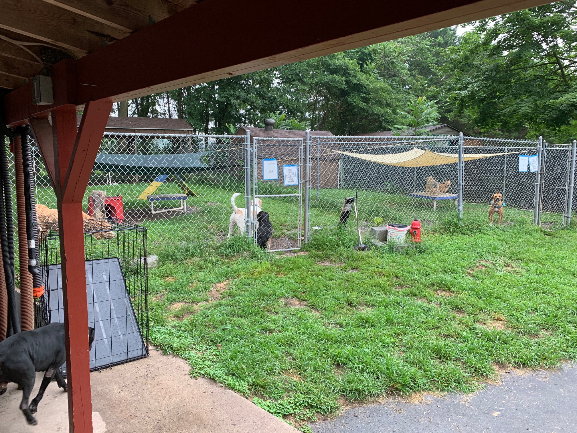 Pet Lodging Buddys Pet Resort and Mobile Grooming