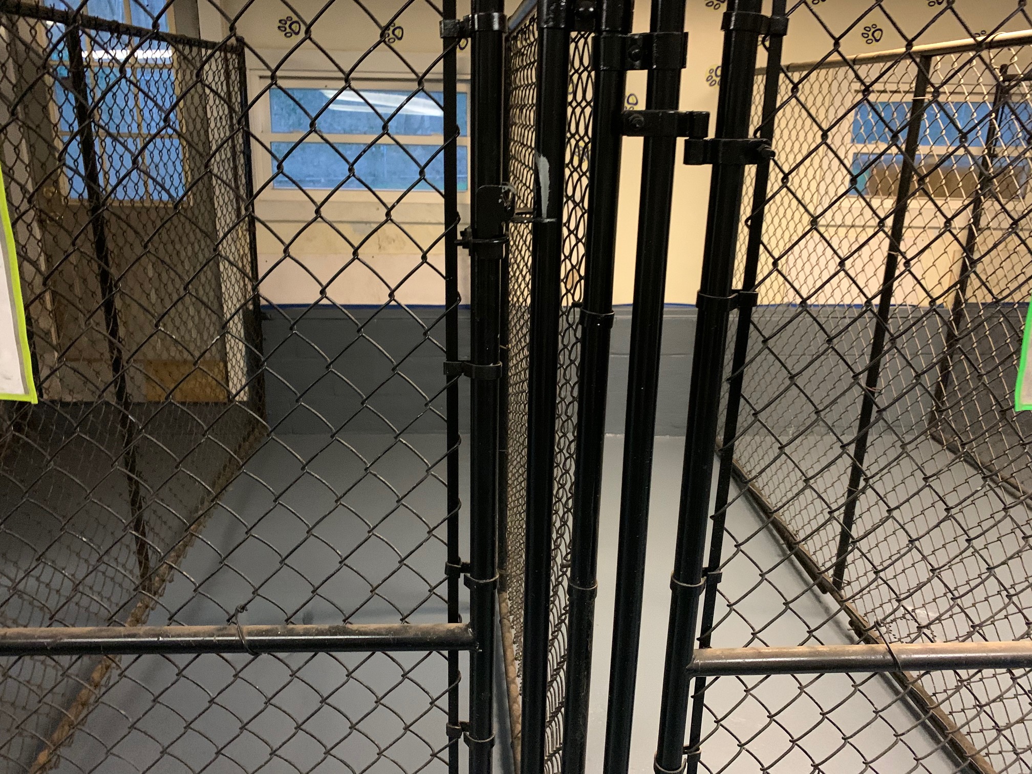 Pet Lodging Buddys Pet Resort and Mobile Grooming