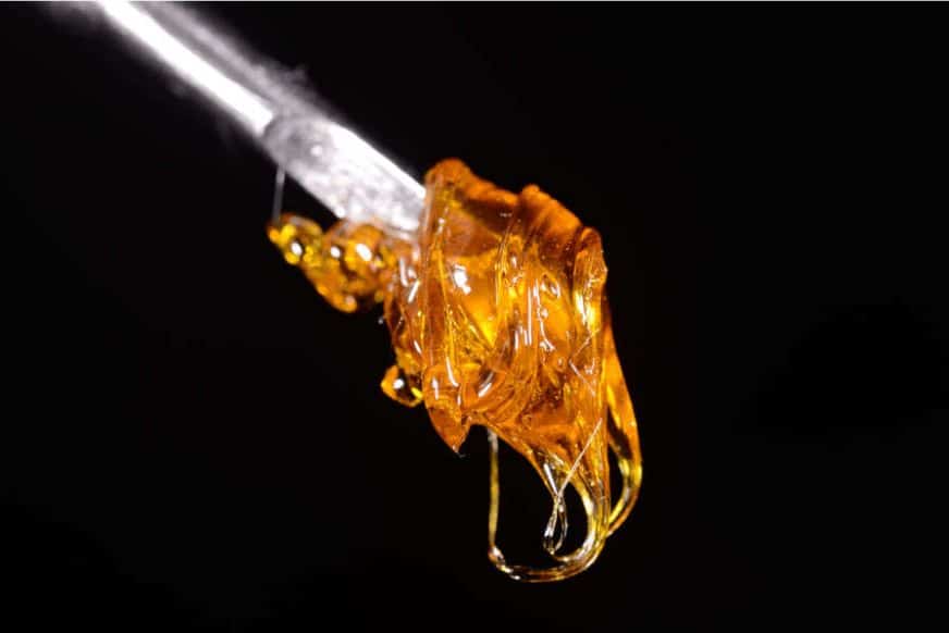 THC Wax Is It The Strongest Concentrate on the Market