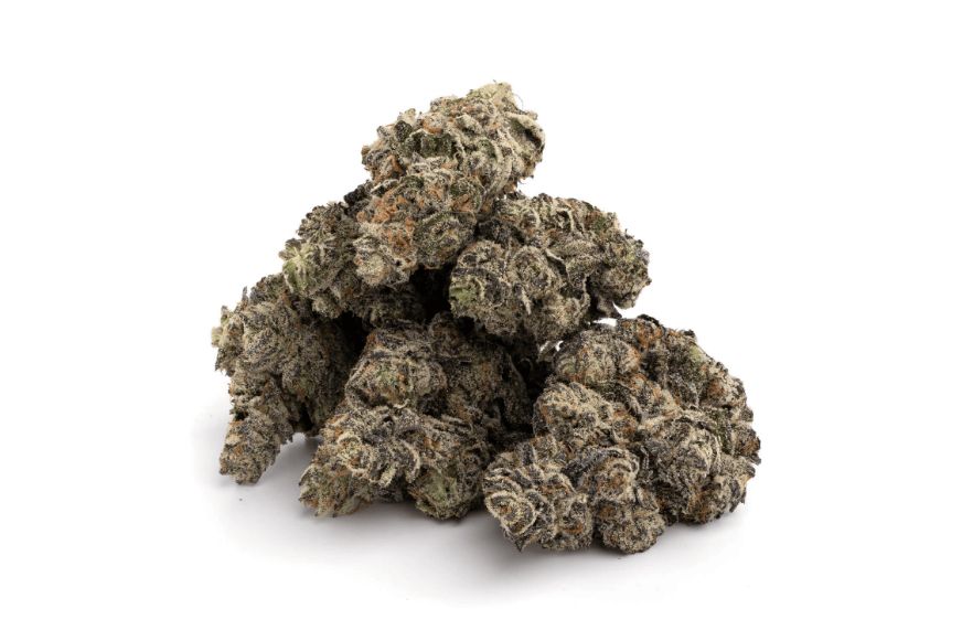 Smoke Gourmet White Truffle Strain A Comprehensive Guide