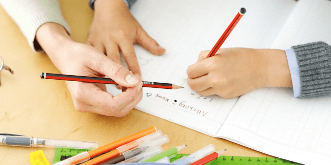 The Cost of Tutoring Your Child Budget and the Bees
