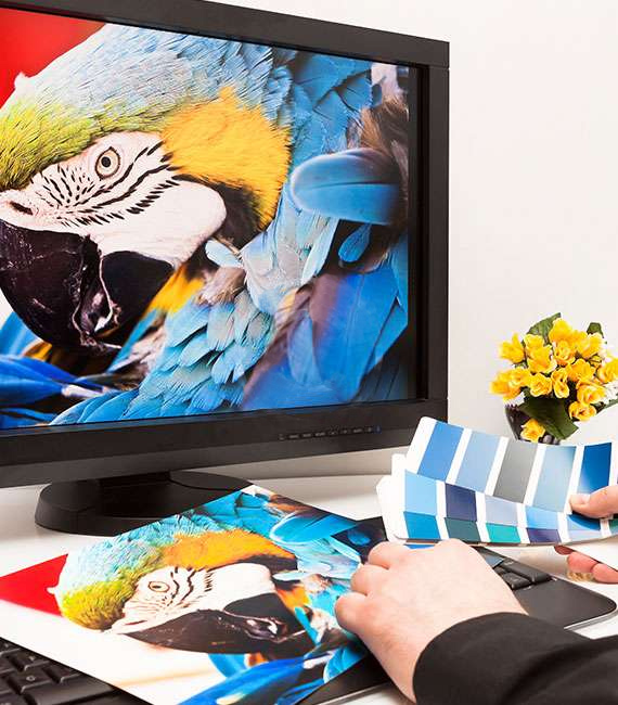 About Us Budget Instant Print High Quality Printing in the Lehigh