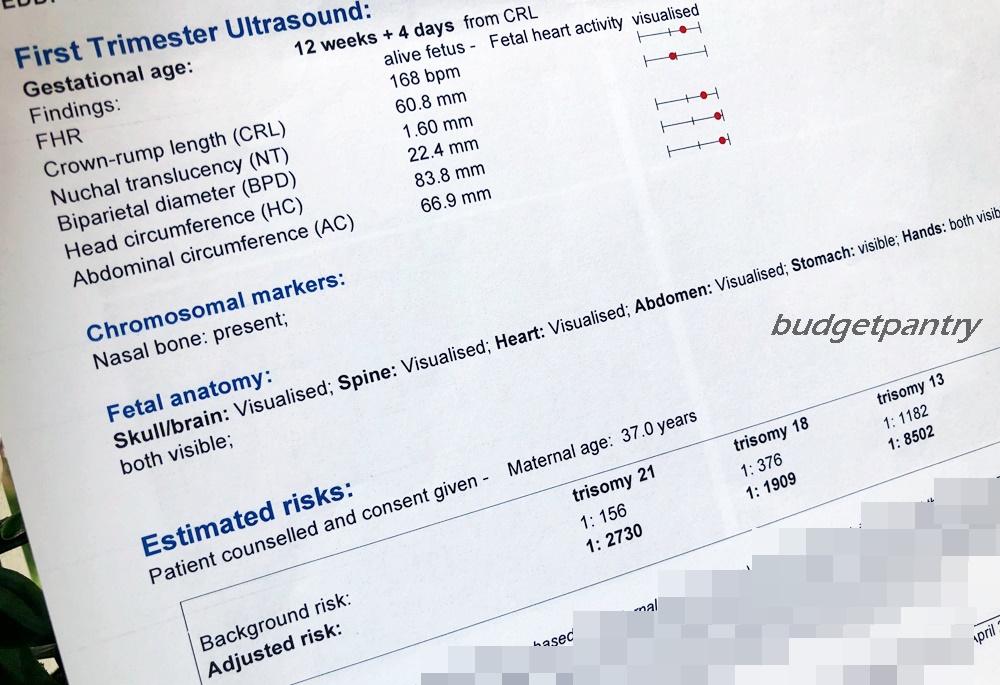 Pregnancy 2 The second trimester harmony test, NT scans and gender reveal! ⋆ Budgetpantry