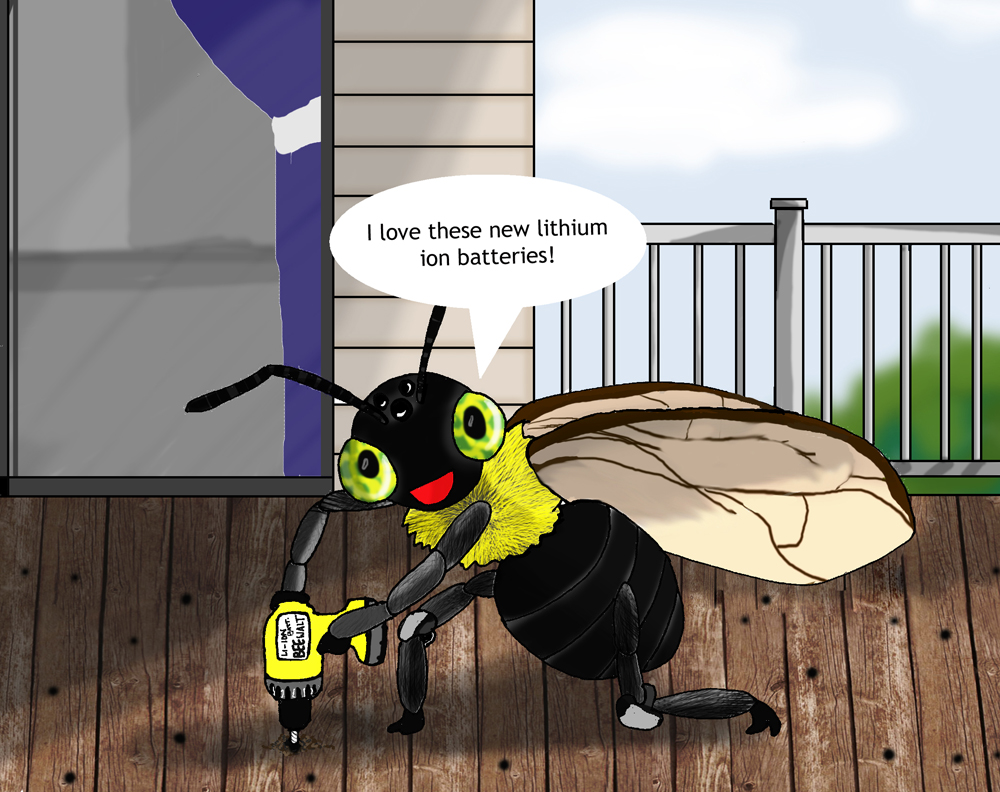 Pittsburgh Carpenter Bee Control Exterminator Budget Pest Control