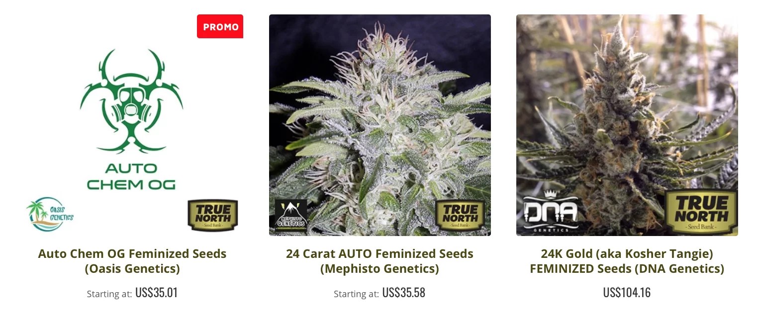 An Honest True North Seed Bank Review