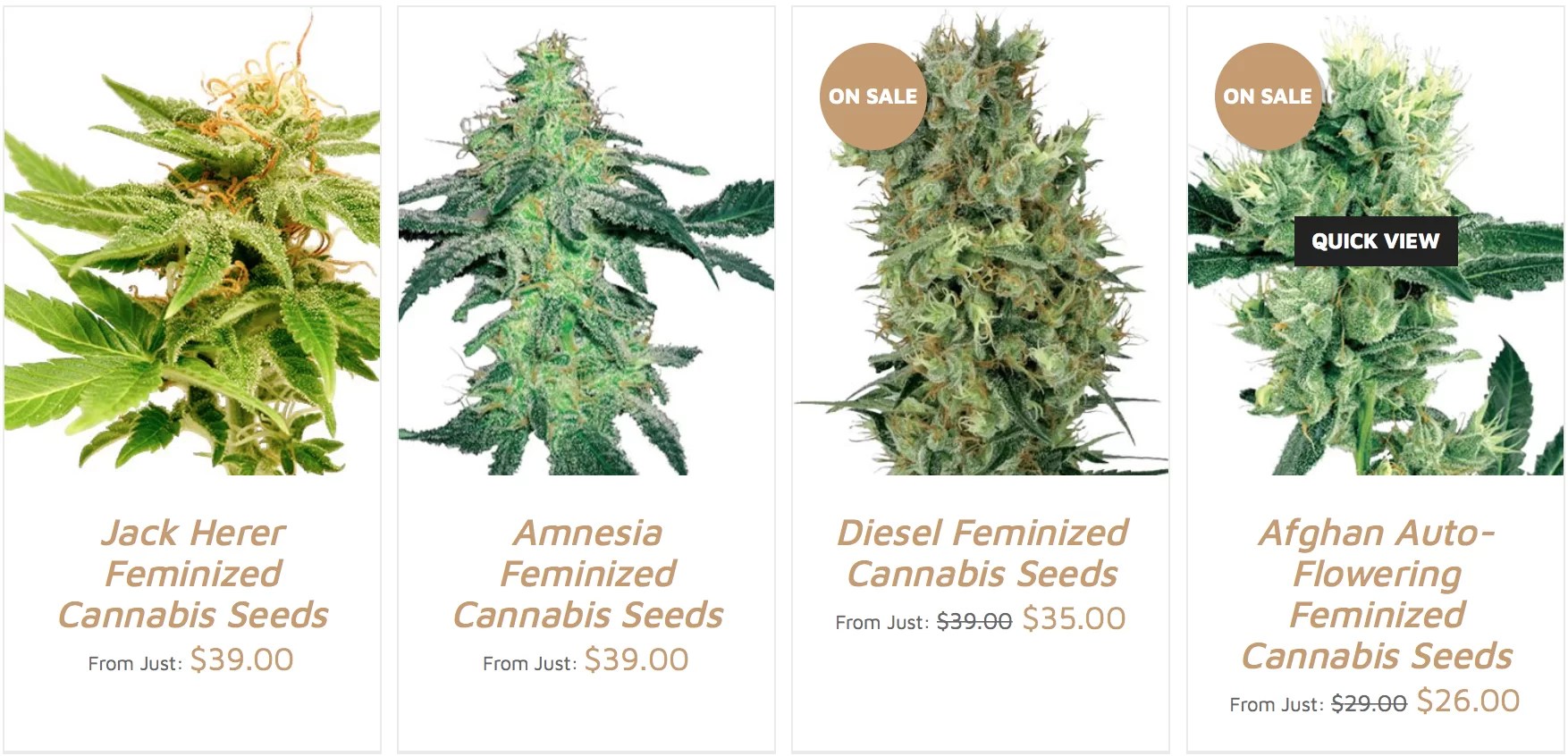 Growers Choice Seeds Reviews Should They Be Your First Choice