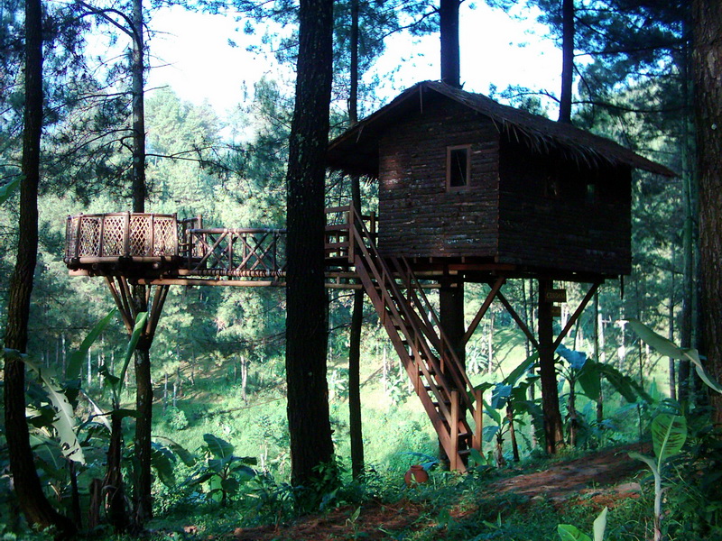 Indonesia Tourism Forum, Where You Can Find Any Information About Indonesia