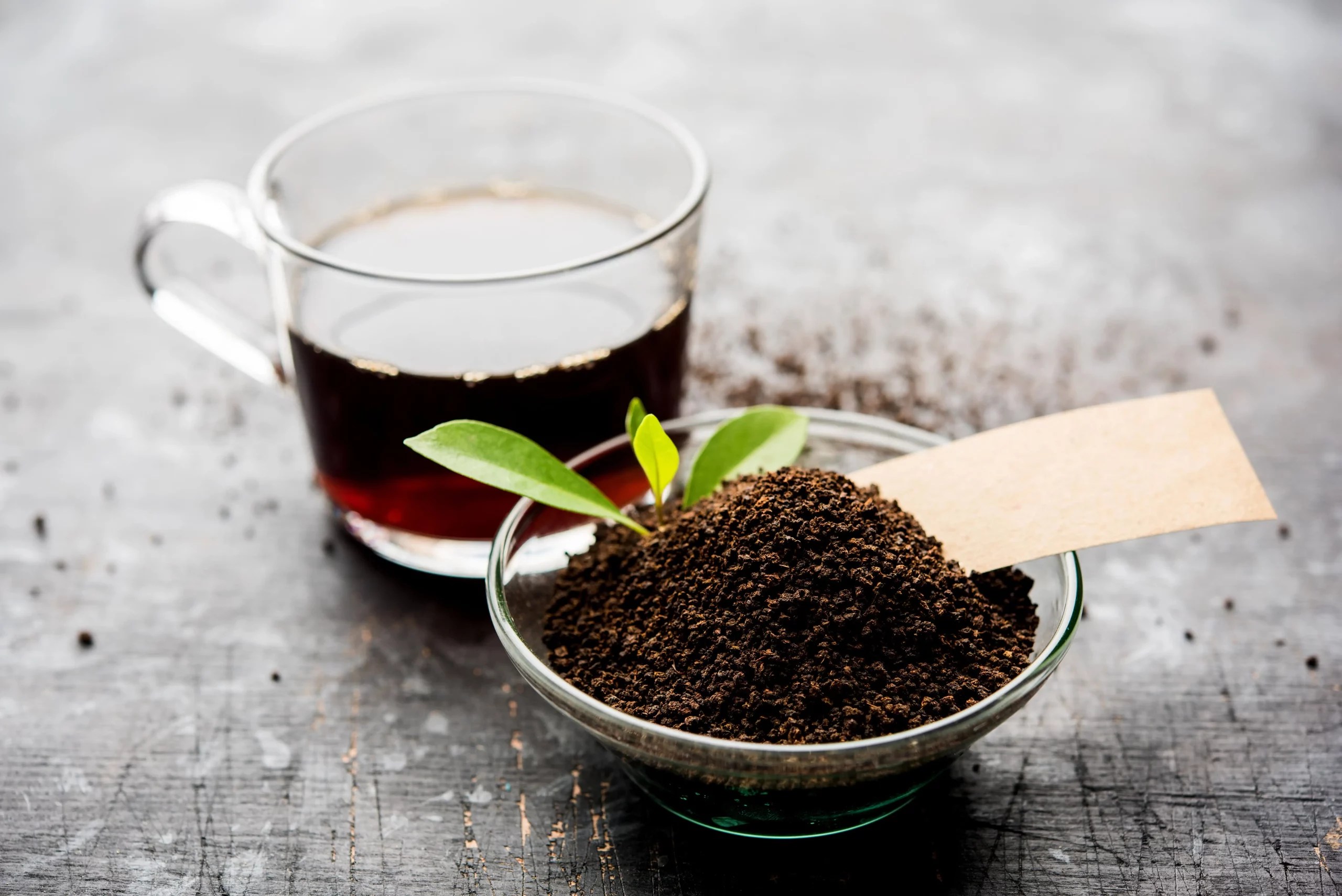 All About CTC (CrushTeaCurl) tea BudLeaf Tea