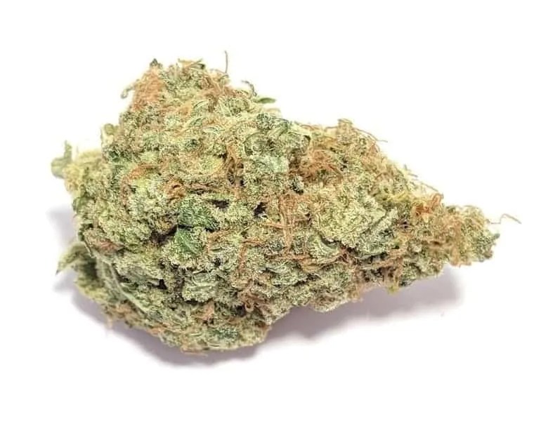 Pink Panties Strain Buy Pink Panties Strain (AAAA) Online Budlyft